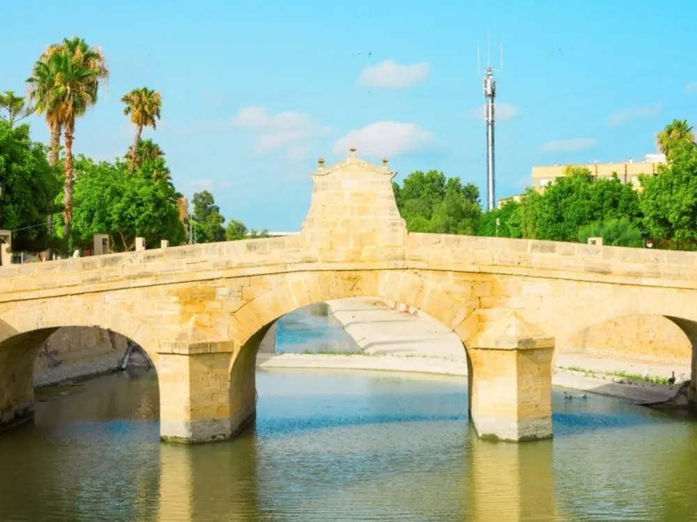 Easy Car Rental Rojales